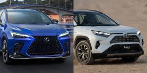 Toyota Rav4 Hev Lexus Nx Hev