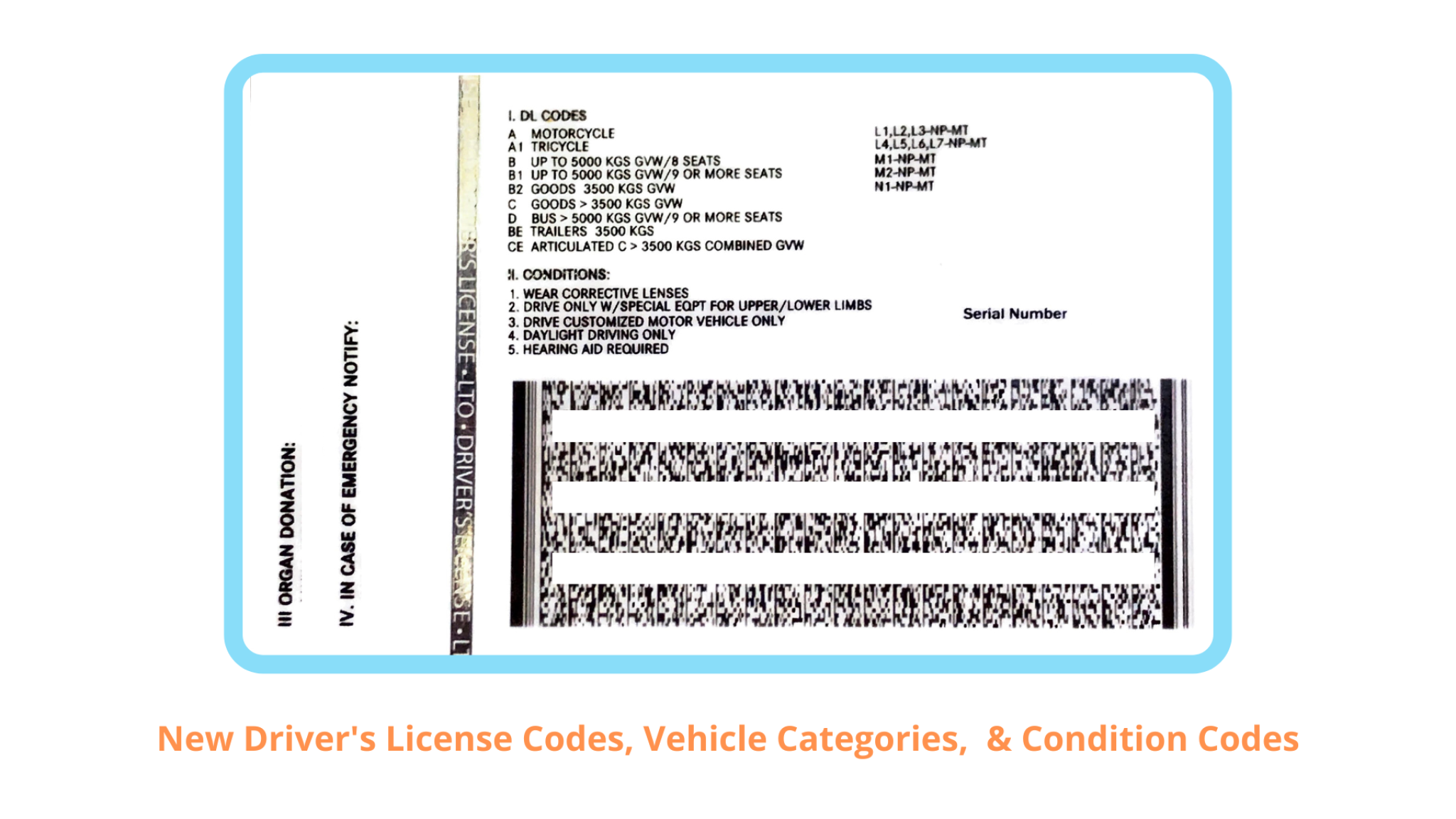 easy-to-follow-checklist-how-to-change-driver-s-license-classification