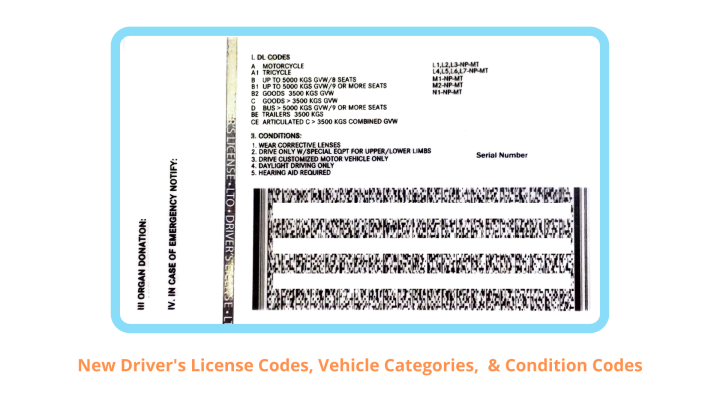 New York State Tax Return Driver S License Requirements