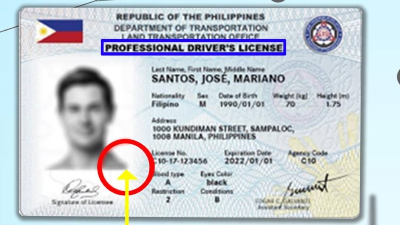 Lto Lower Cost Of Driver's License Student Permit Main 00 Min