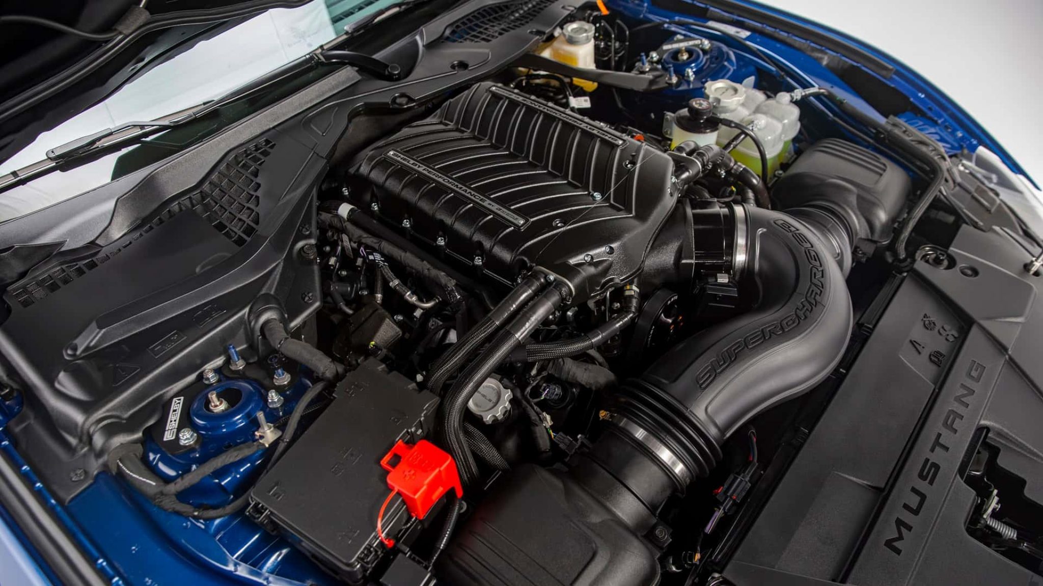 The Shelby Super Snake Is Back For 2024 With 830 HP • YugaAuto ...