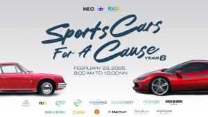 Sports Cars for a Cause year 6