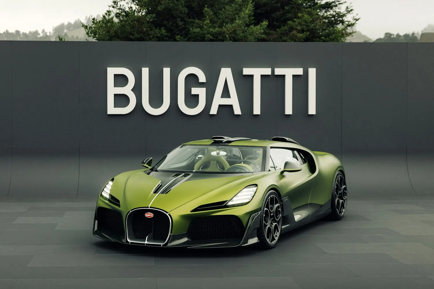 Bugatti Brouillard and Programme Solitaire