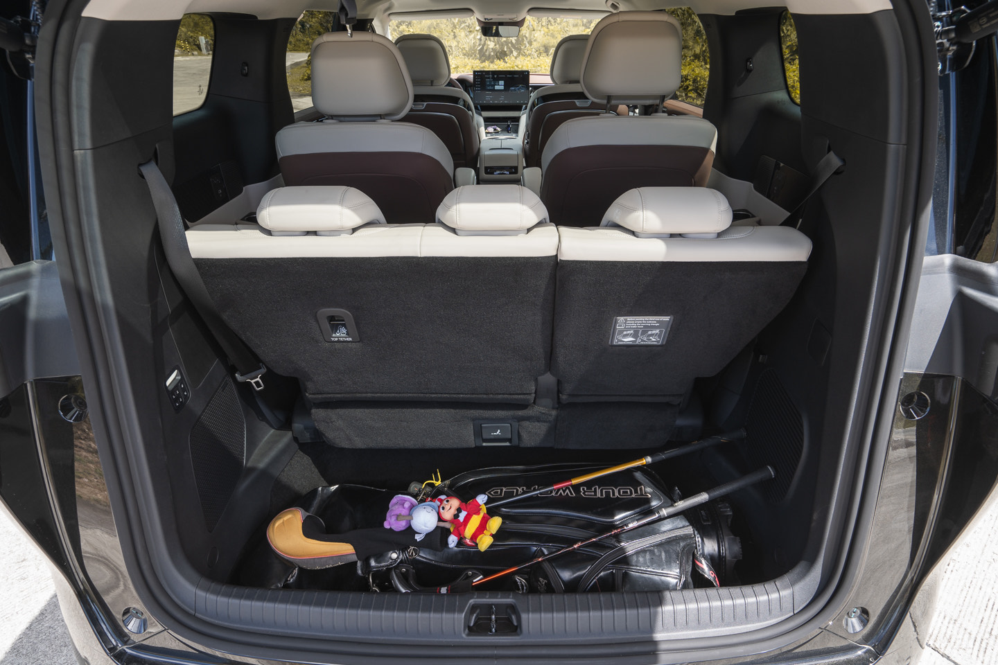 BYD eMAX 9 DM-i