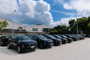 Green GSM VinFast Limo Green